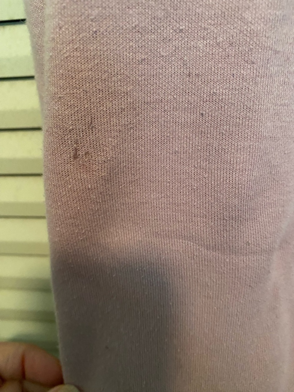 Skims Jogger - Picture 5 of 7